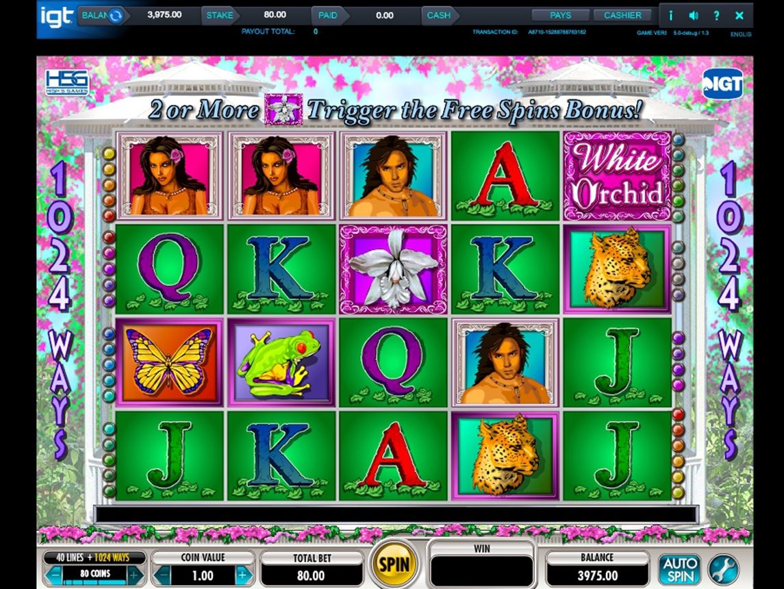 Play the free demo of the White Orchid slot game